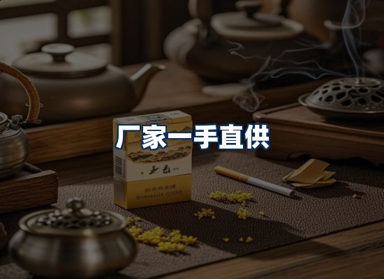 专业团队办公环境